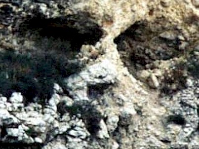 Bald Mountain in Jerusalem (detail)