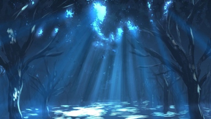 The garden of Gethsemane